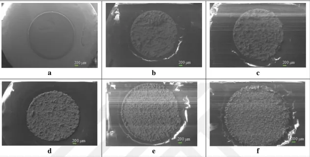 Figure 4.4. SEM images of the bare GC (a), CNT-100/AuNS-0.4/GC (b), CNT-20/AuNS-0.4/GC (c),  CNT-0.5/AuNS-0.4/GC (d), CNT-0.1/AuNS-0.4/GC (e) and AuNS-0.4/GC (f) electrode surfaces on 50 X 