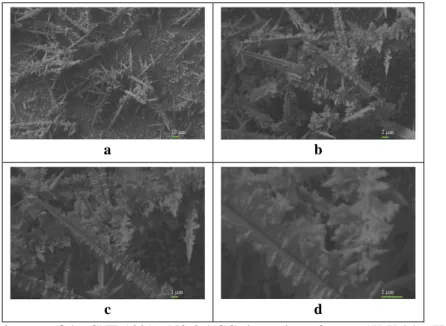 Figure 4.6 shows the SEM images taken on different magnifications of the CNT- CNT-100/AuNS-0.4/GC  electrode  surface