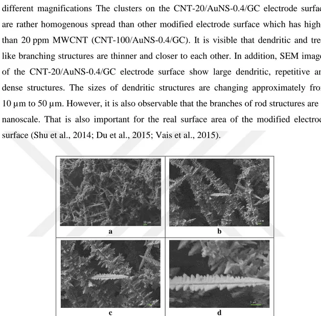 Figure 4.7 shows the SEM images of modified electrode surface prepared in the  presence  of  20 ppm  MWCNT  and  0.4 ppm  HAuCl 4 