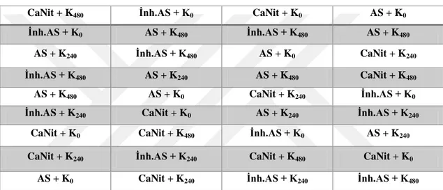 Şekil 3.1. Deneme planı