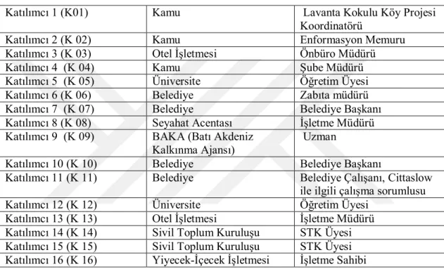 Tablo 4. Görüşmeye Katılan Katılımcılara İlişkin Tanımlayıcı Bilgiler 