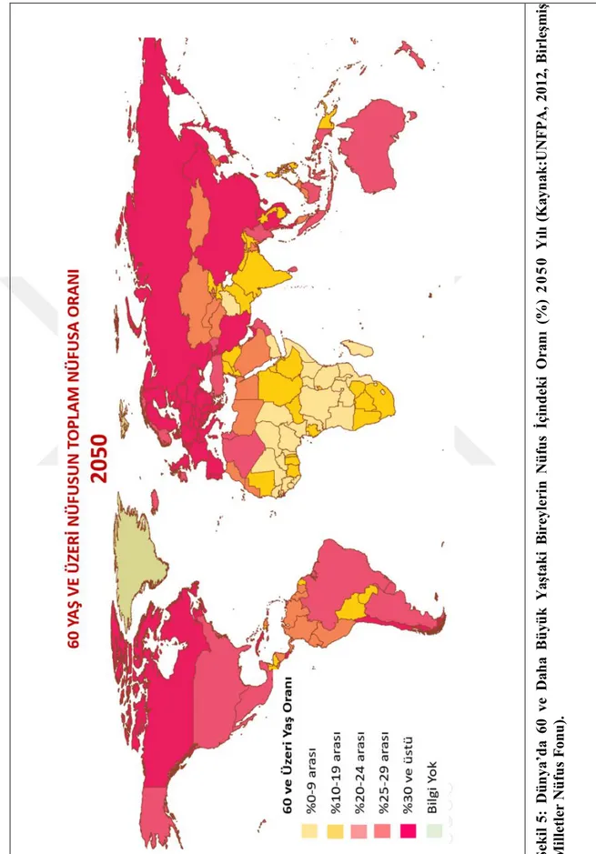 Şekil 5: Dünya’da60ve Daha BüyükYaştaki BireylerinNüfus İçindeki Oranı (%) 2050 Yılı (Kaynak:UNFPA, 2012, Birleşmiş Milletler Nüfus Fonu).