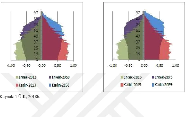 Şekil 7: Türkiye’de Cinsiyete Göre Nüfus Piramidi Tahminleri (2013-2050)  