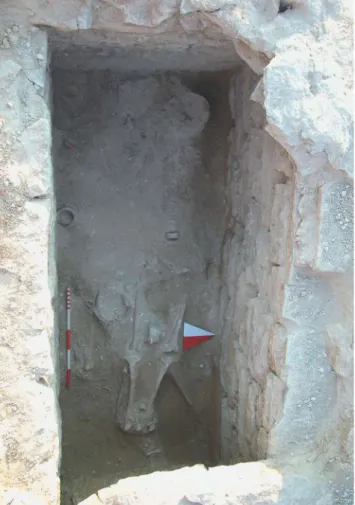 Fig. 5: 03BM04 Numaralı Mezarda Açığa Çıkan İskeletler ve Bu­