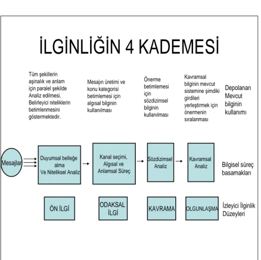 Şekil 1.13. İlginlik Kademeleri 