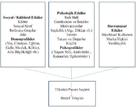 Şekil 1.9.  Tüketici Olarak İzleyici Modeli 