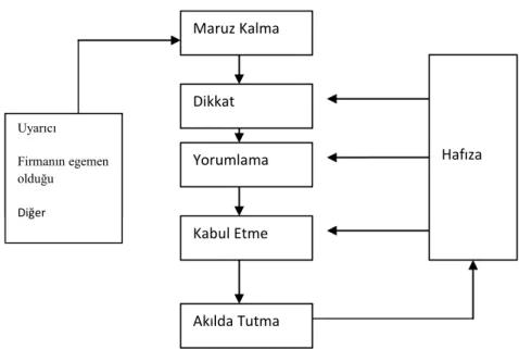 ġekil 2.4: Bilgi ĠĢleme Süreci 
