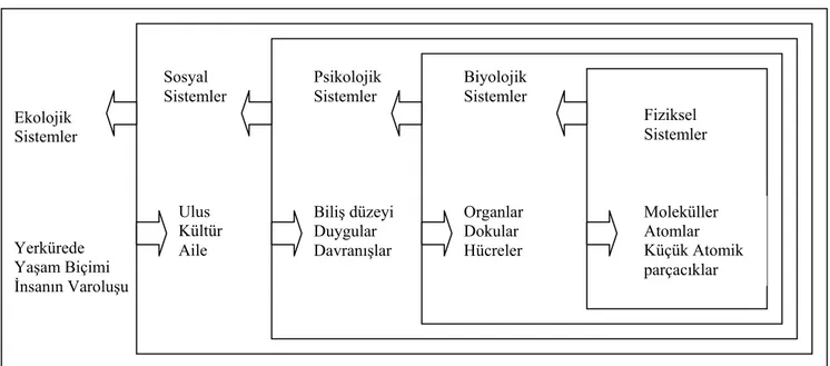 Şekil 5: Biyopsikososyal Model 