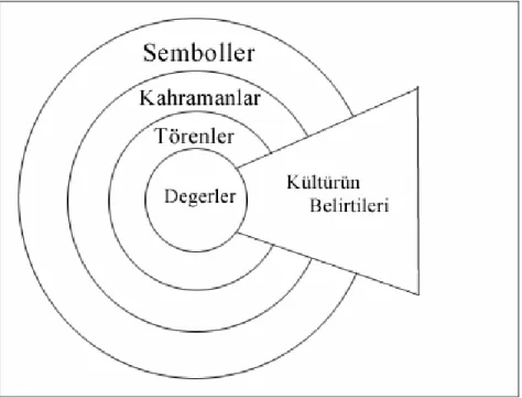 Şekil 2: Soğan Biçiminde Kültür 