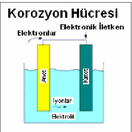 Şekil 1. Korozyon hücresinin tipik gösterimi 
