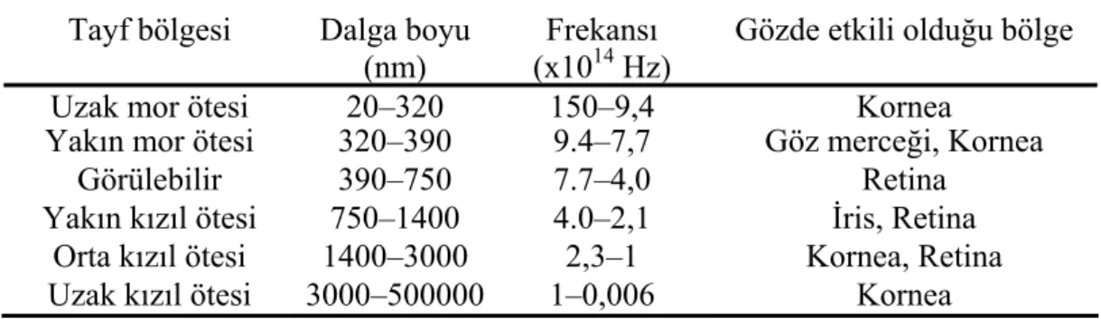 Tablo 2. Lazer ışın demetinin çıkış dalga boyuna bağlı olarak gözde  etkili olduğu bölge 