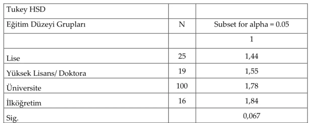 Tablo 10. Fiziksel Ortam 