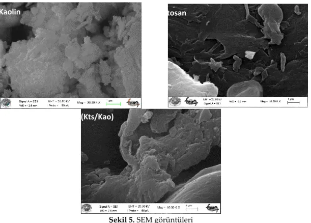 Şekil 5. SEM görüntüleri  Figure 5. SEM images  Çözelti pH’ının Etkisi  (Effect of solution pH)