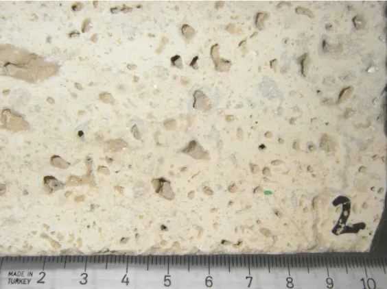 Figure 4. The studied sample of the Volubilis dolomotic limestone. Note that quiet large (up to 5 mm)  pores