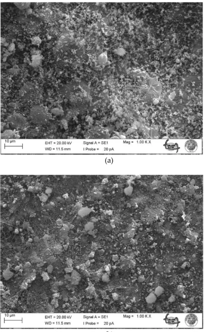 Şekil 4. Nanofiber tabakalı filtrelerin morfolojisi ve yakalanan CaCO 3  nanopartiküller,  (a) ikinci numune (2,5 g/m 2 ),  (b) üçüncü numune (3 g/m 2 ) 