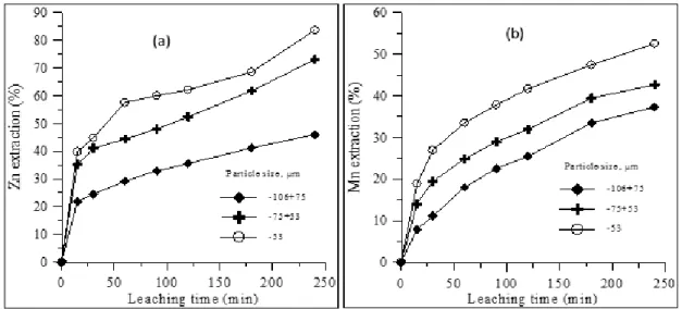 Figure 4. Effect of particle size on the recovery of zinc (a) and manganese (b). 
