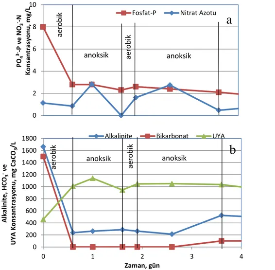 Şekil 2. Dört fazlı aerobik/anoksik işletimde fosfat ve nitrat azotu (a) alkalinite, bikarbonat ve UYA  (b) değişimleri 