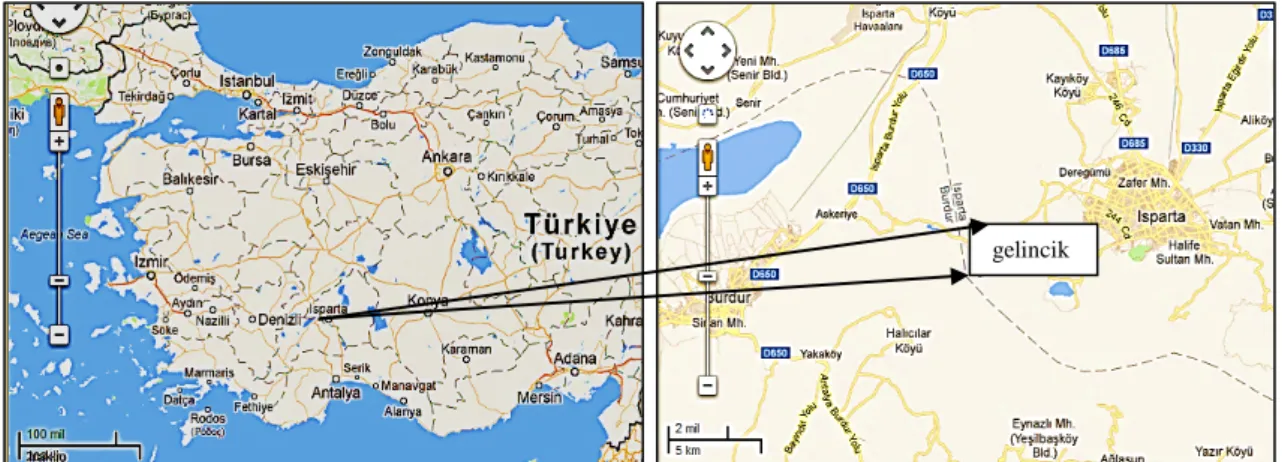 Şekil 1: Çalışma alanını gösteren harita ( Location map of the study area ). 