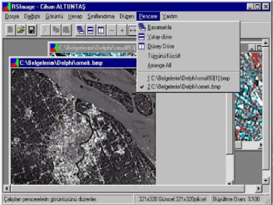 Şekil 4: RSImage programı ana penceresi 