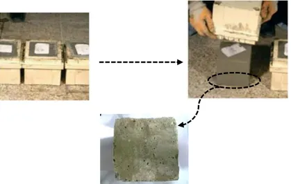 Şekil 1. Beton küp numune görüntülerinin alındığı yüzeyin gösterimi  (Presentation of surface to which cube concrete sampling is applied ) 