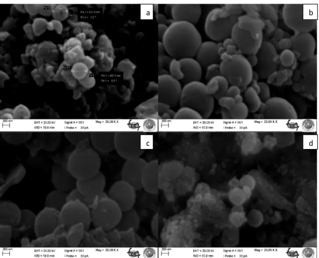 Şekil 6. POPD polimeri ve POPD/CdO nanokompozitlerine ait 25000 kat büyütülmüş SEM görüntüleri; 