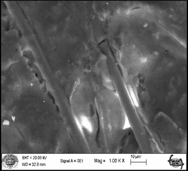 Şekil 12. YSZ+SDC+NaCaNiBO ile kaplandıktan sonraki 10 µm’deki SEM görüntüsü 