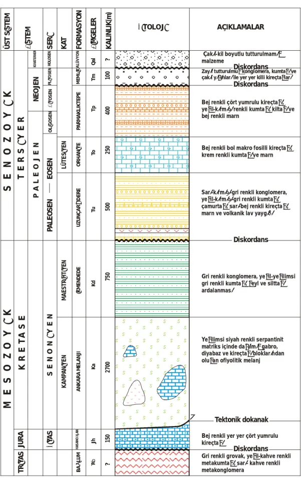 Figure 2. Generalized stratigraphic section of the investigation area.