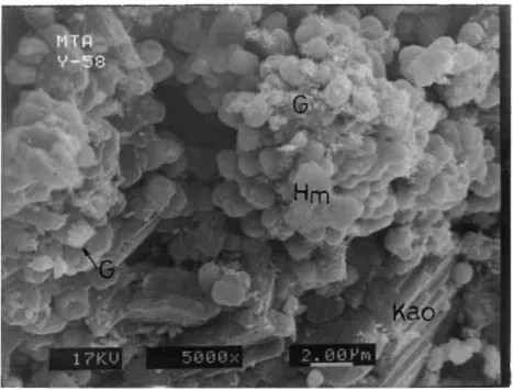 Şekil 4. Öz şekilli {Plakamsı (booklet)} kaolinit (Kao), hematit (Hem) ve götitlerin   (G) taramalı elektron mikroskobu (SEM)ʹnda görünüşleri