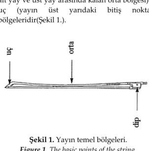 Şekil 1. Yayın temel bölgeleri. 