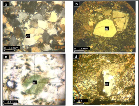 Figure 3. Digital microphotograph of the thin sections; 