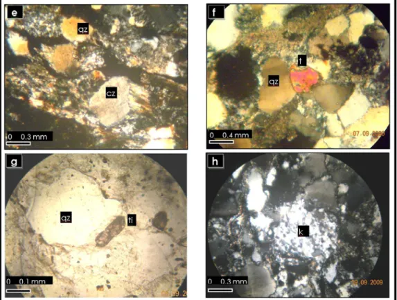 Figure 3. continue; 