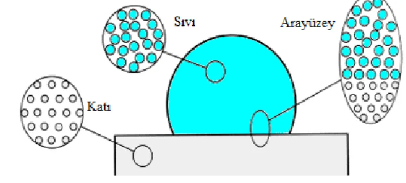 Şekil 1. Örnek sıvı-katı arayüzeyi  1.3.1. Lineer izoterm 