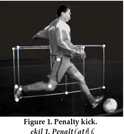 Figure 1. Penalty kick.
