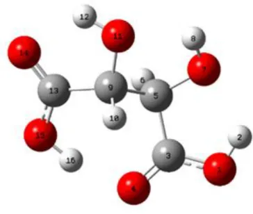 Figure 2. The most stable structure of tartaric acid molecule 