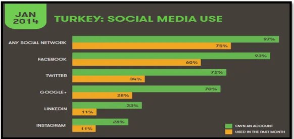 Grafik 22: 2014 Yılı Türkiye’nin Sosyal Medya Ağlarına Ait Kullanıcı Bilgileri