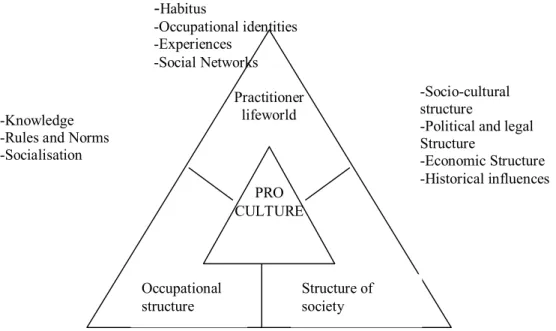 Figure 1.   The circuit of cultural intermediation  We also try to direct and inform our students in  our  faculty  in  order  to  make  them  agent  between  various  cultural  structures  as  explained above