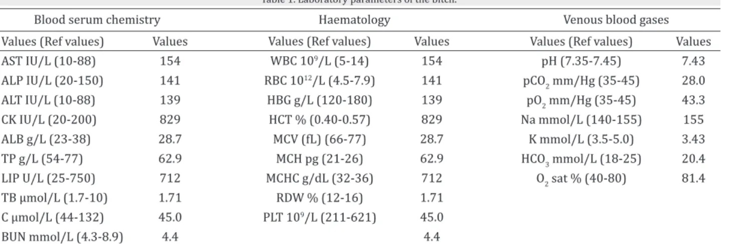 Table 1. Laboratory parameters of the bitch.