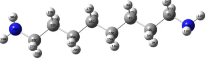 Figure 1. Molecular structure and atomic numbering of  1,8-diaminooctane. 