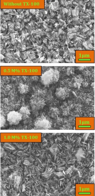 Figure  2.  SEM  photographs  of  the  nanostructured  CuO  films deposited without and with TX-100.