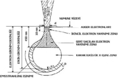 Fig. 1. Elektron Demetinin Örnek ile Etkileşmesi Sonucu Oluşan Sinyaller   ve Bu Sinyallerdenelde Edilen Bilgiler