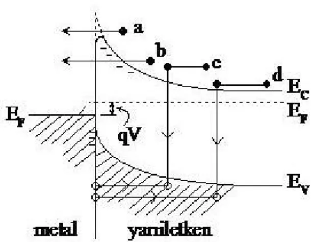 Şekil 2.8. Metal/yarıiletken (MS) kontaklarda doğru beslem altındaki akım iletim mekanizmaları  (Sze, 1981).
