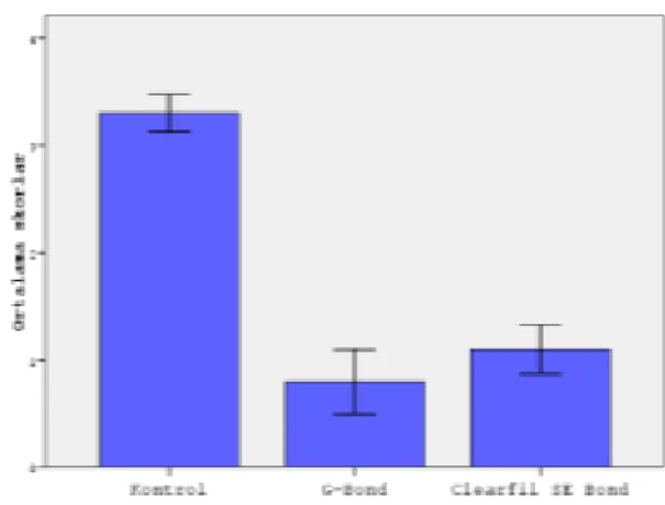 Grafik 3. Ortalama zone indeks skorları  TARTIŞMA 
