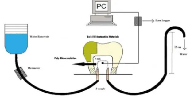 Figure 2. Schematic diagram of the measurement of intrapulpal  temperature changes 