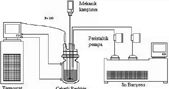 Şekil 1. Baryum metaborat üretimi için deney sisteminin şematik gösterimi  (Schematic view of the experimental set up for the  synthesis of barium metaborate).