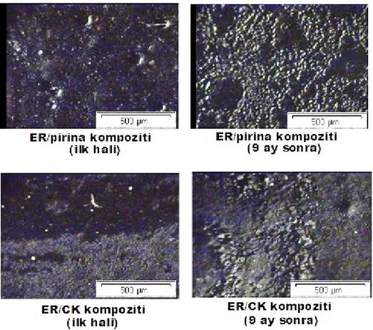 ġekil 12.  Kompozitlerin  toprağa  gömülmeden  önceki  ve  sonraki  polarize  mikroskop  görüntüleri        (mag: 2,52x) 