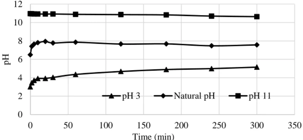 Figure 1. pH profiles of kaolin at an initial pH of natural, acidic and basic medium 
