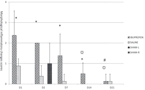 Fig. 2. D1: 1st daysacriﬁcedd group that was injected ibuprofen in the right knee. D2: 2nd daysacriﬁcedd group that was injected ibuprofen in the right knee