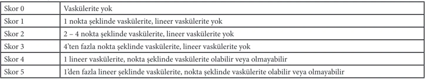 Tablo 1. Ovaryan vaskülerite skoru özellikleri.