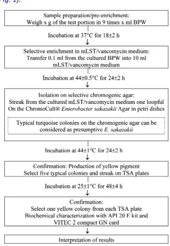 Fig 1. Identification method flow scheme of E. sakazakii  Şekil 1. E. sakazakii’nin identifikasyon metodu akış şeması 
