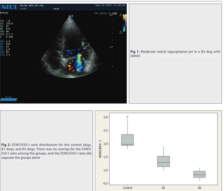 Fig 2. ESWS/ESV-I ratio distribution for the control dogs,  B1 dogs, and B2 dogs. There was no overlap for the ESWS/